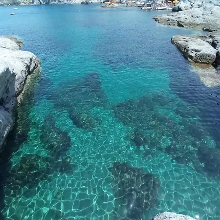 Il Nido Di Chiara *